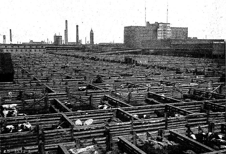 'The Yards'